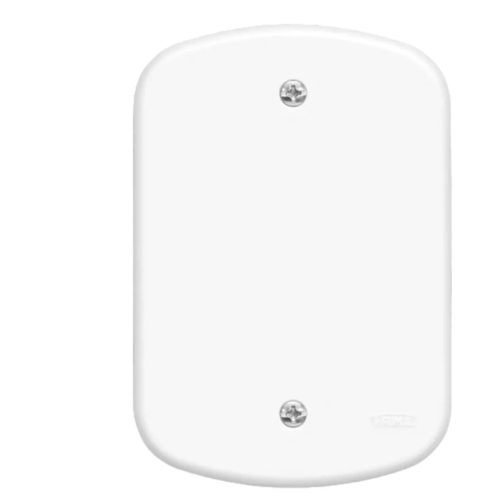 Placa 4 x 2 Cega Branco (Fame)