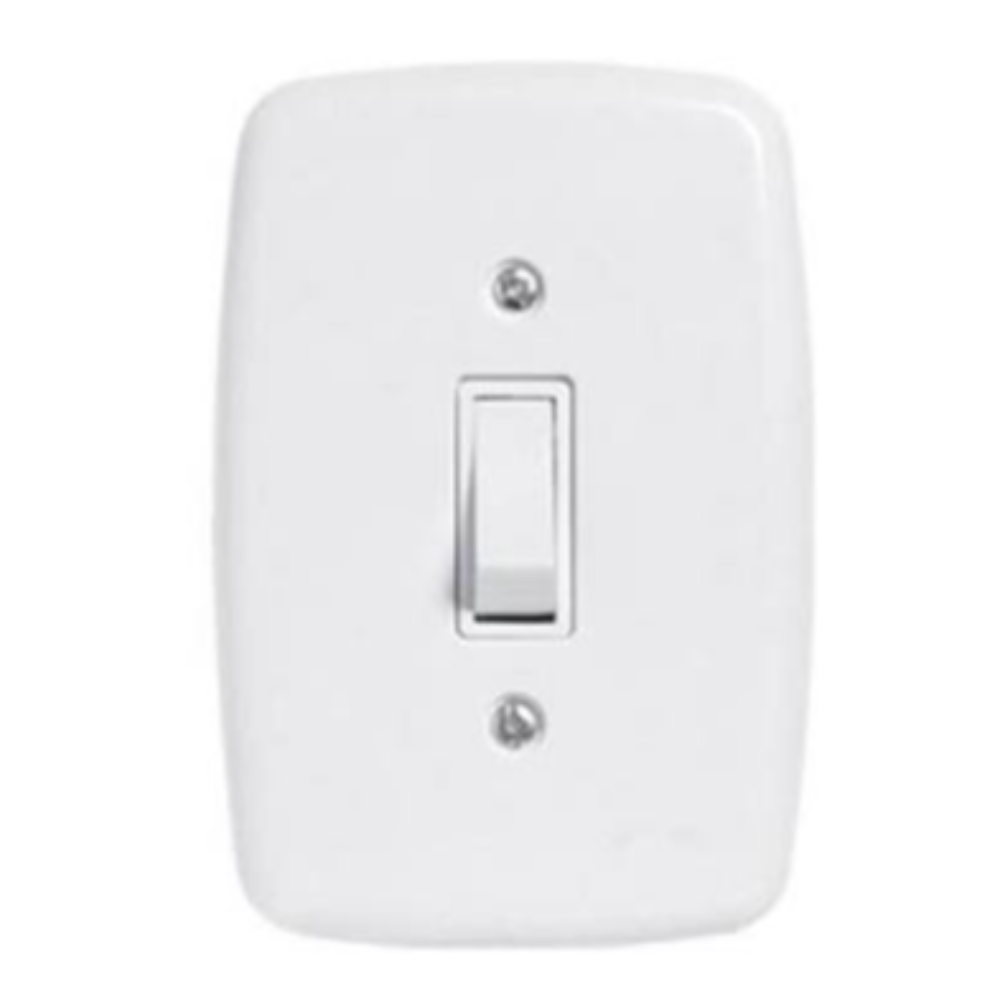 Interruptor Simples C/Placa 10A (Pluzie Ideale)